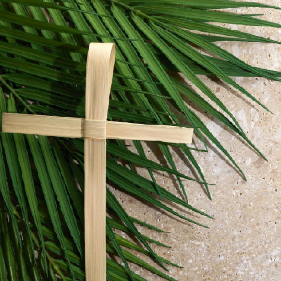 Palm Cross